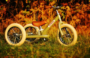 Learnings Toys: Vintage Trybike  2-in-1