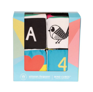 Learnings Toys: Manhattan toy company mind cubes