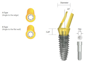 Medical and surgical equipment repair and maintenance: IS Hex Angled Abutment(15°)