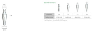 Medical and surgical equipment repair and maintenance: IS Ball Abutment