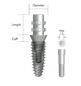 Medical and surgical equipment repair and maintenance: IS Temporary Abutment