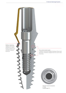 Abutment Screw