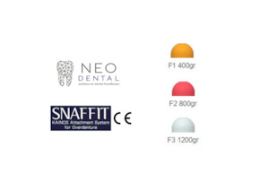 Medical and surgical equipment repair and maintenance: Snaffit Abutment Female Cap