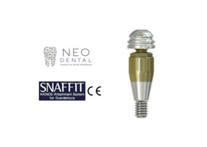 Snaffit Straight Abutment