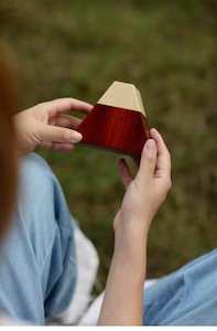 Toy: Mt. Fuji 3-Step Japanese Puzzle Box