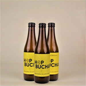 Hopbucha Tasting 3-Pack