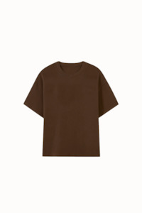 Clothing: The Plains T-Shirt V2 / Chestnut Brown