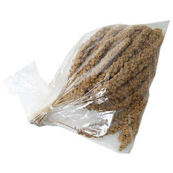 Seed wholesaling: Millet Sprays - Yellow