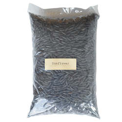 Black Sunflower Seed