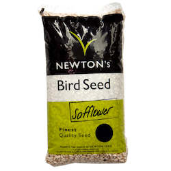 Safflower Seed