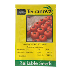 Seed wholesaling: Tomato - Tropic Boy