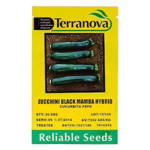 Zucchini - Black Mamba Hybrid