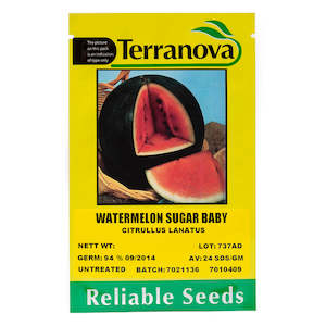 Seed wholesaling: Watermelon - Sugar Baby