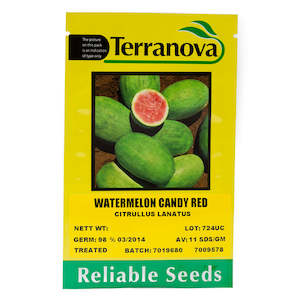 Seed wholesaling: Watermelon - Candy Red