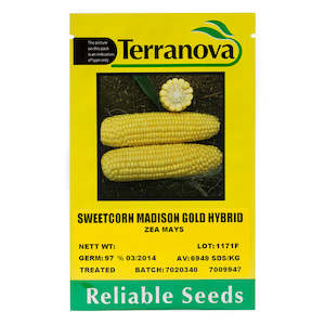 Sweetcorn - Madison Gold Hybrid