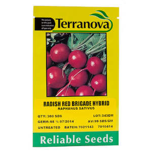 Seed wholesaling: Radish - Red Brigade Hybrid