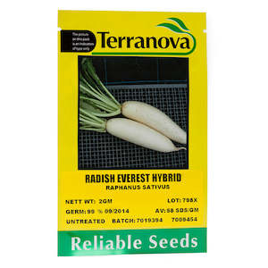 Radish - Everest Hybrid