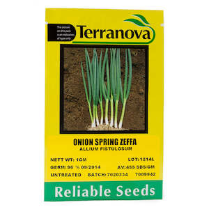 Onion - Spring Zeffa