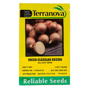 Seed wholesaling: Onion - Gladalan Brown