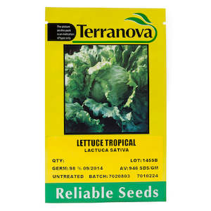 Seed wholesaling: Lettuce - Tropical