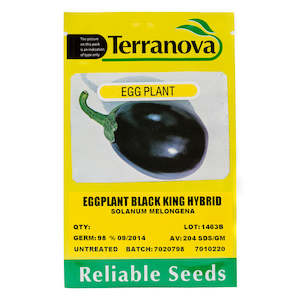 Seed wholesaling: Eggplant - Black King Hybrid