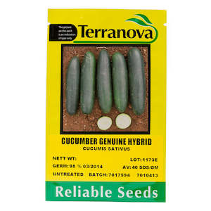 Seed wholesaling: Cucumber - Genuine Hybrid