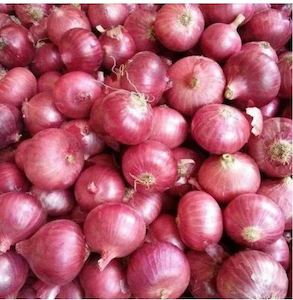 Shallots