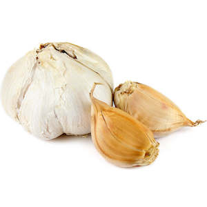 Seed wholesaling: Elephant Garlic