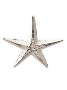 Artist supply: Knob-White Starfish-Special!