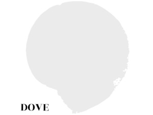 Mineral Paint-Dove