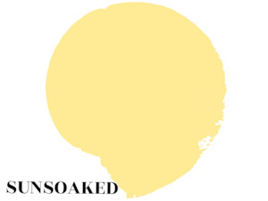 Artist supply: Mineral Paint -SunSoaked TESTPOT