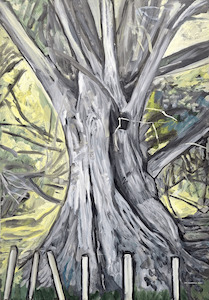 Pakiri macrocarpa in green – painting