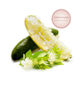 Candle: Premium Finger Lime & Myrtle Fragrance Oil