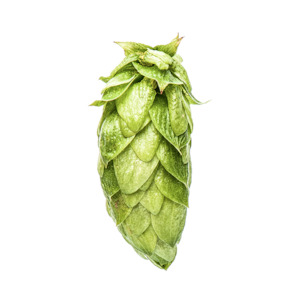 Hop growing: Nectaron®