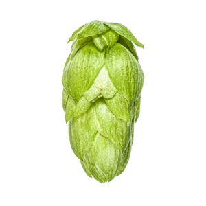 Hop growing: Rakau™