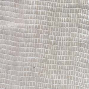 Crocodile Print Goat Skin | Beige | 0.8mm | 5 sq.ft | $45 ea.