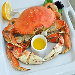 Frozen Seafood: USA DUNGENESS CRAB  （Frozen）1kg