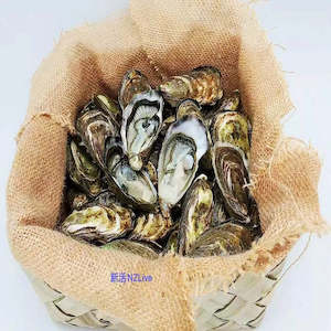 Live Seafood: Premium Oyster / Dozen