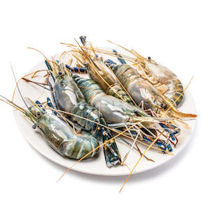 Nishin Premium Quality Fresh Water Jumbo Prawn 6/8 800g