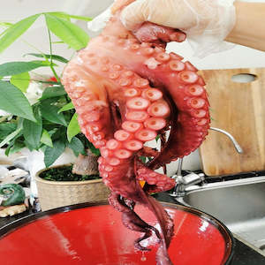 Frozen Seafood: Octopus