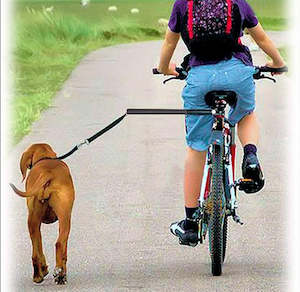 Bicycle Dog Leash Attachment Kit