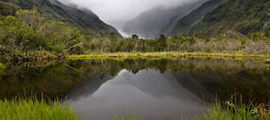 Peters Pool | Franz Josef Glacier