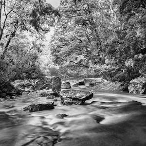 Clinton River Milford Track