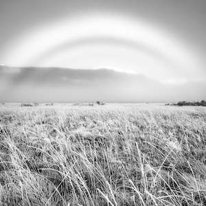 Black White: Bealey Fogbow