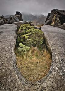 Vertical: Castle Hill Rocks