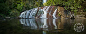 Land: Coal Creek Falls | Rununga