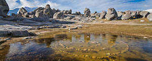 Castle Hill Pond