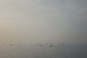 Naples Seascape