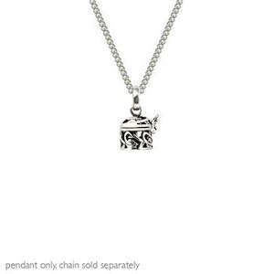 Gift Ideas For Mum: Evolve Pendant - NZ Treasures Locket with chain