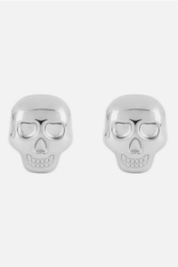 Stainless Steel Skull Glacial Rocks